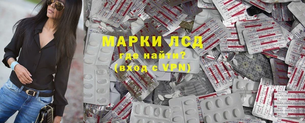 PSILOCYBIN Навашино