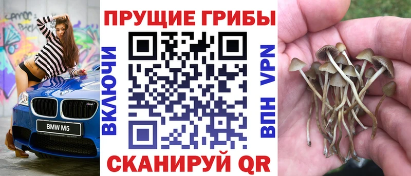 Псилоцибиновые грибы GOLDEN TEACHER  купить наркотики цена  Анадырь 